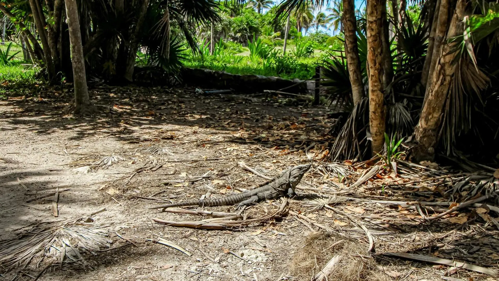 Amaka A2 Apartman Tulum